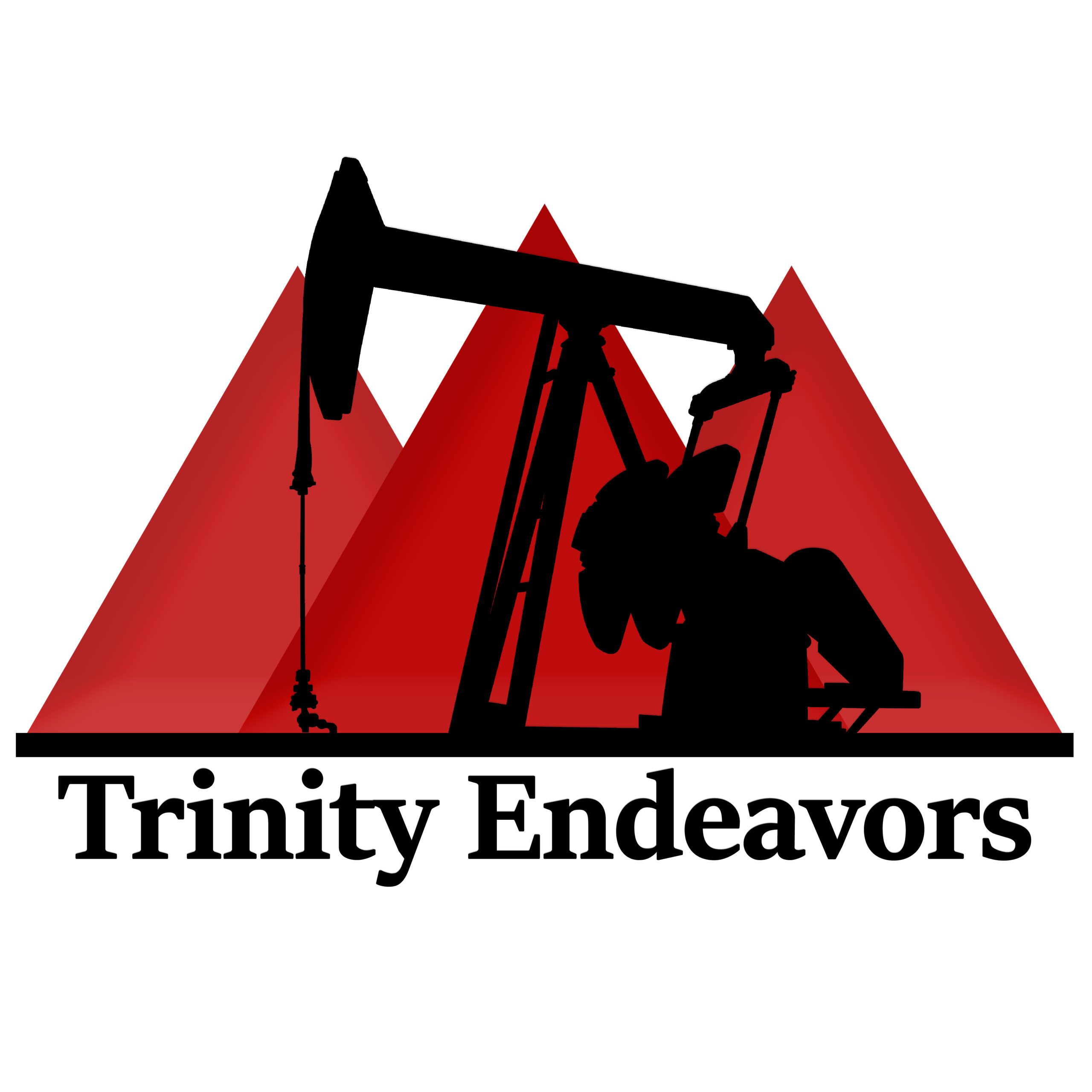 Trinity Logo JPEG (002) (002) Trinity Endeavours