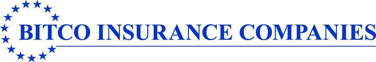 Bitco Insurance Blue Font